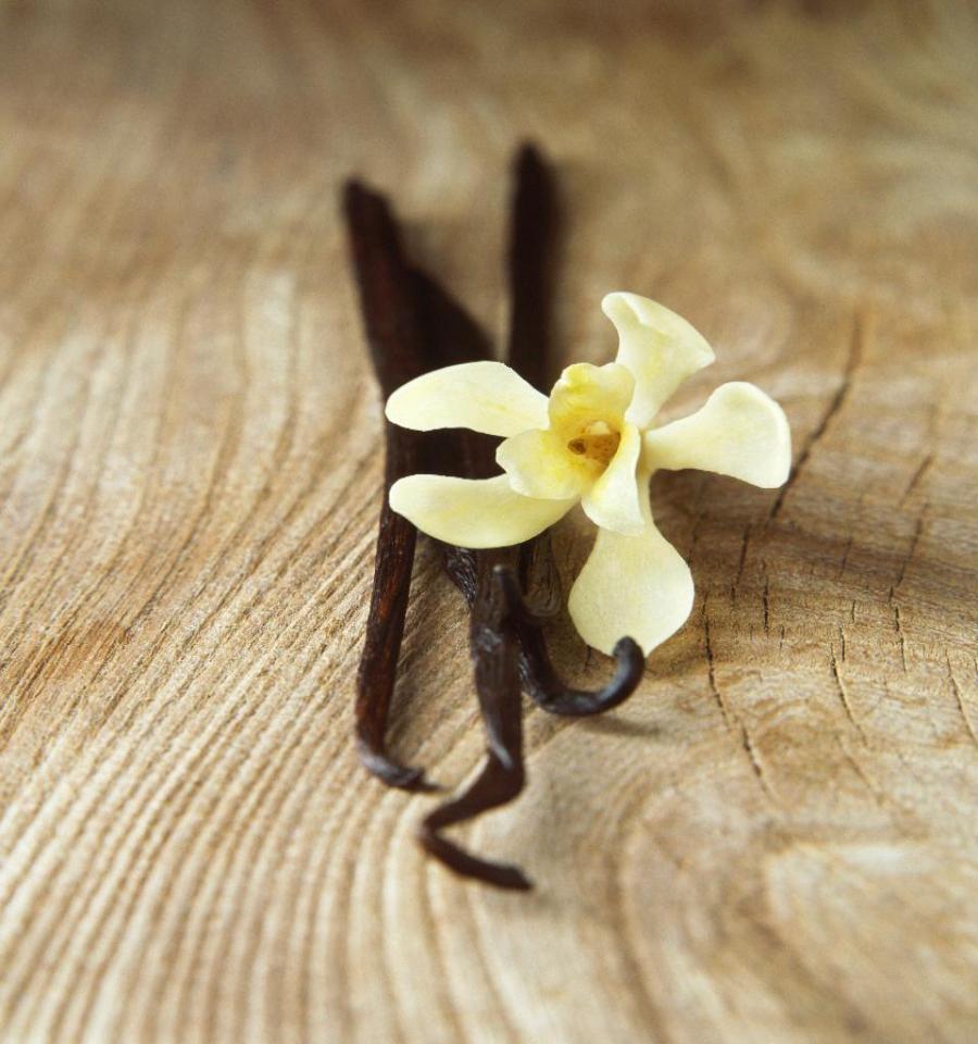 Why Vanilla Musk Perfumes To Make the Perfect Gift for Any Occasion