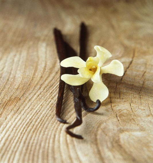 Why Vanilla Musk Perfumes To Make the Perfect Gift for Any Occasion